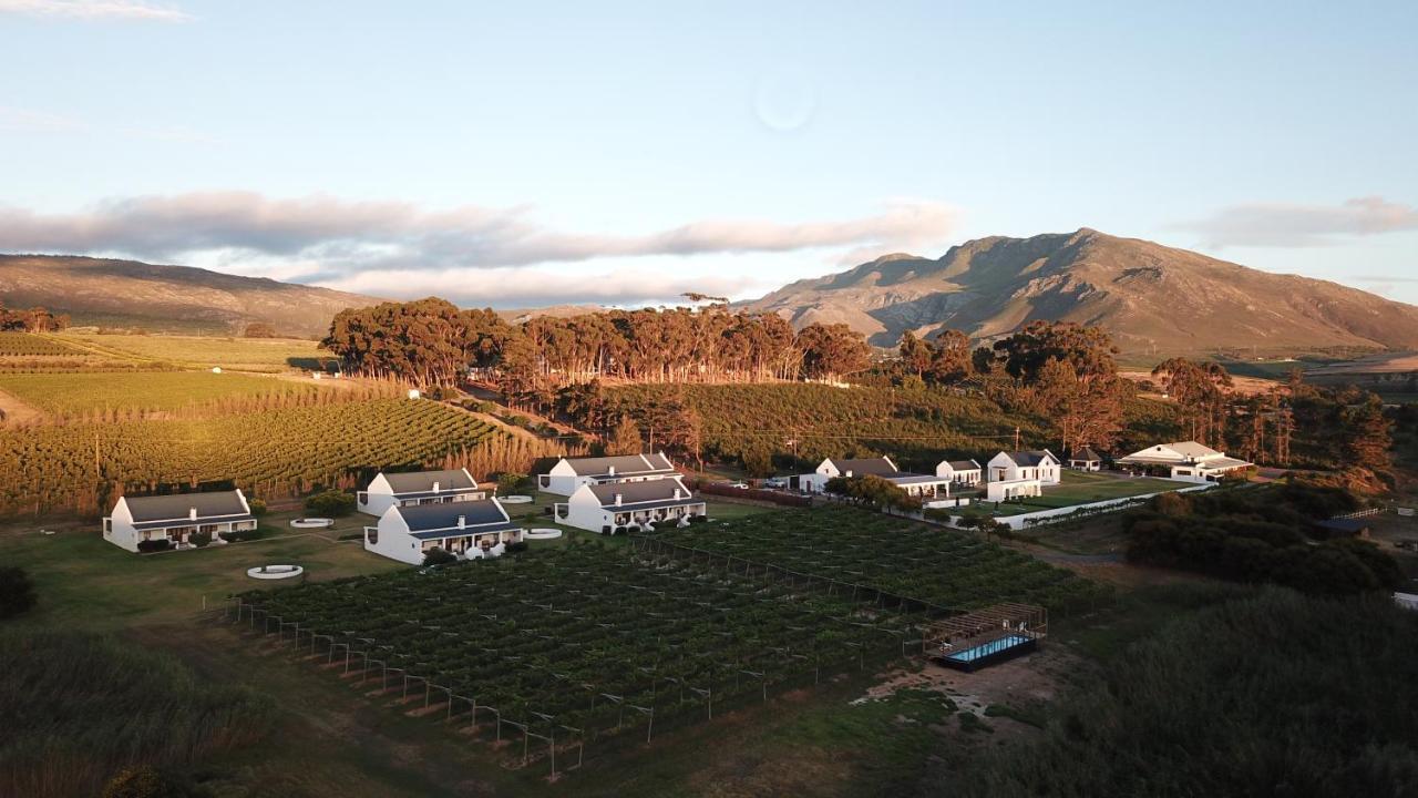 Affittacamere Endless Vineyards At Wildekrans Wine Estate Botrivier Esterno foto