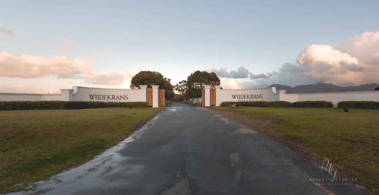 Affittacamere Endless Vineyards At Wildekrans Wine Estate Botrivier Esterno foto