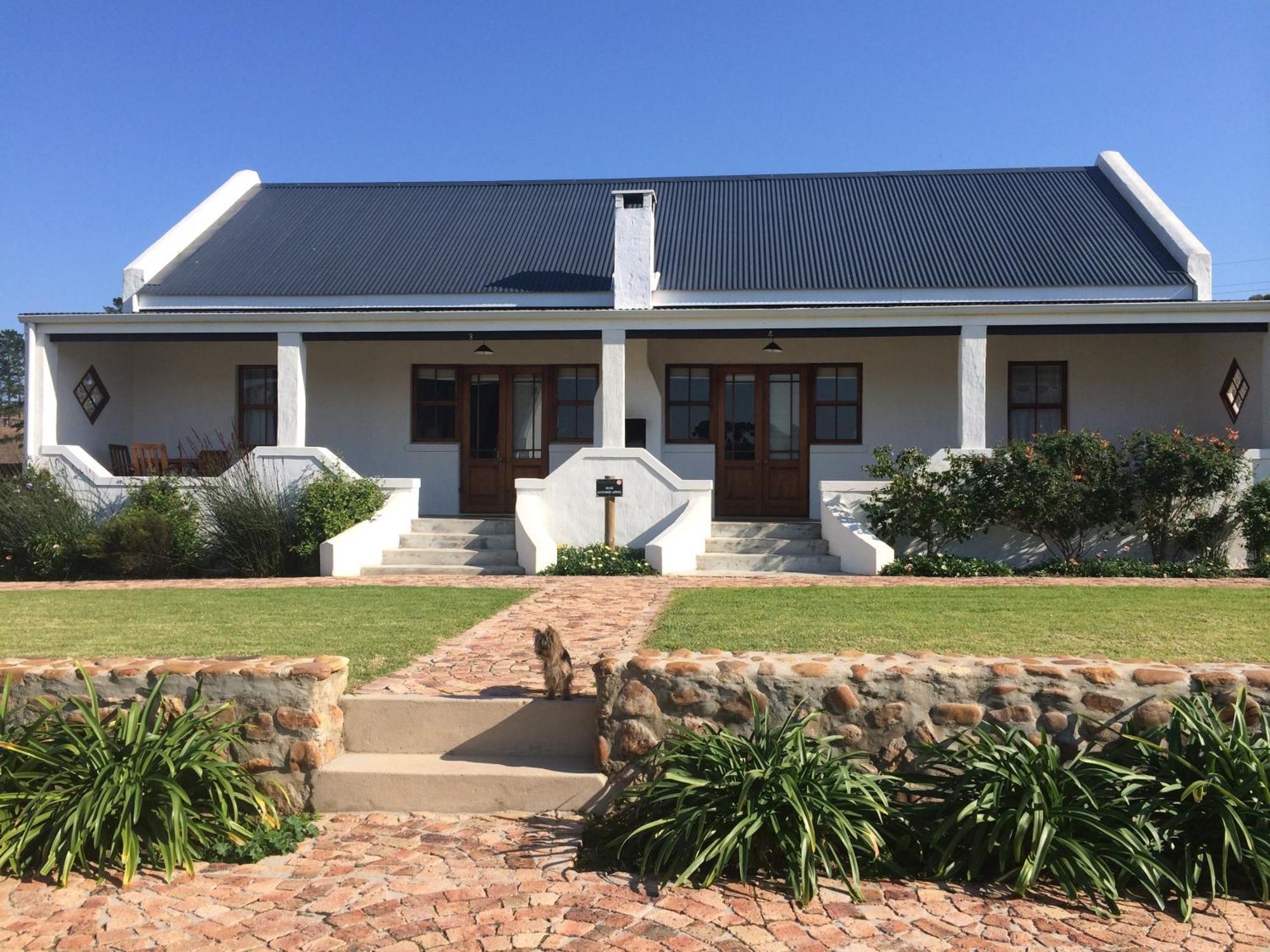 Affittacamere Endless Vineyards At Wildekrans Wine Estate Botrivier Esterno foto