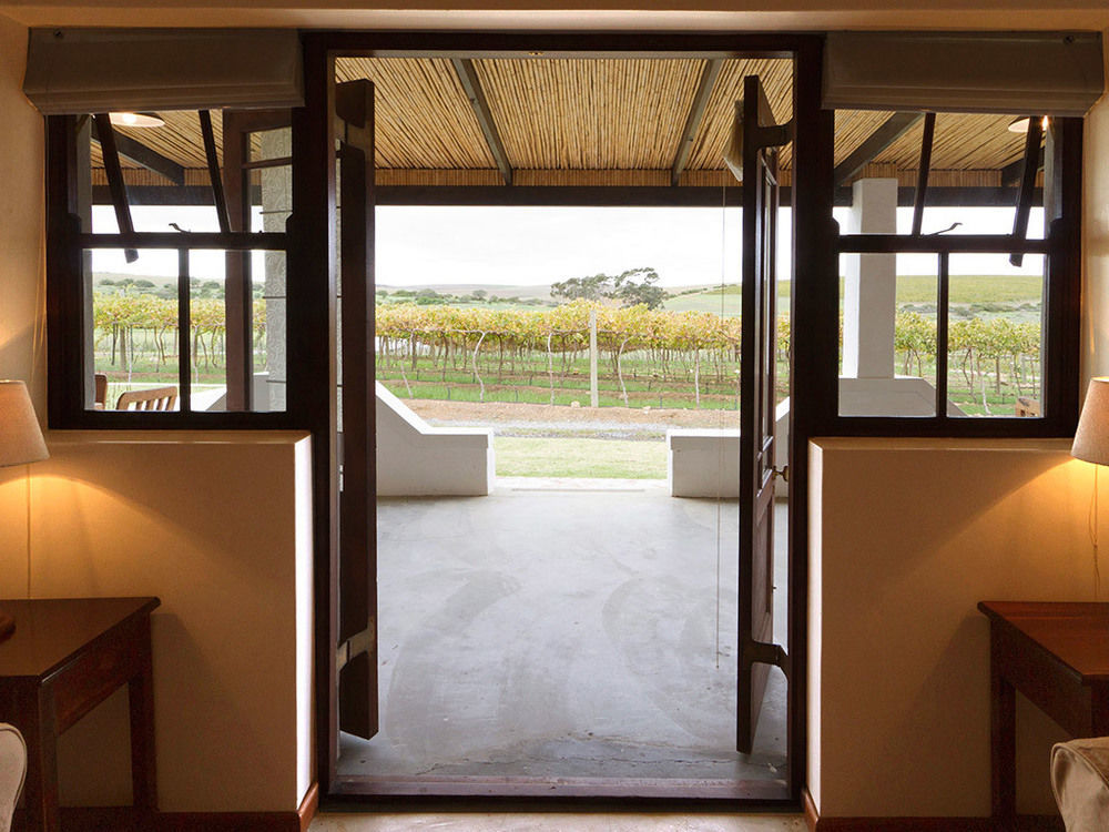Affittacamere Endless Vineyards At Wildekrans Wine Estate Botrivier Esterno foto