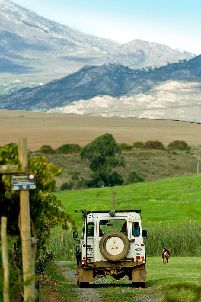 Affittacamere Endless Vineyards At Wildekrans Wine Estate Botrivier Esterno foto