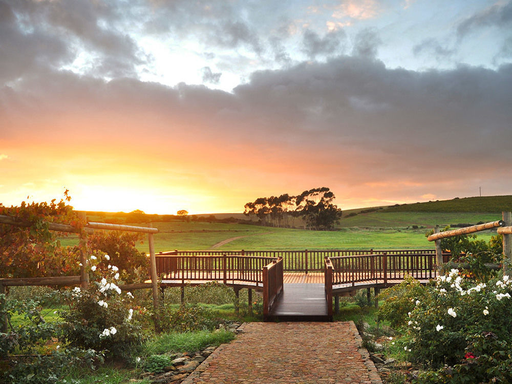 Affittacamere Endless Vineyards At Wildekrans Wine Estate Botrivier Esterno foto