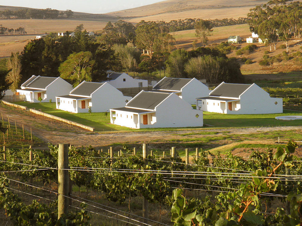 Affittacamere Endless Vineyards At Wildekrans Wine Estate Botrivier Esterno foto