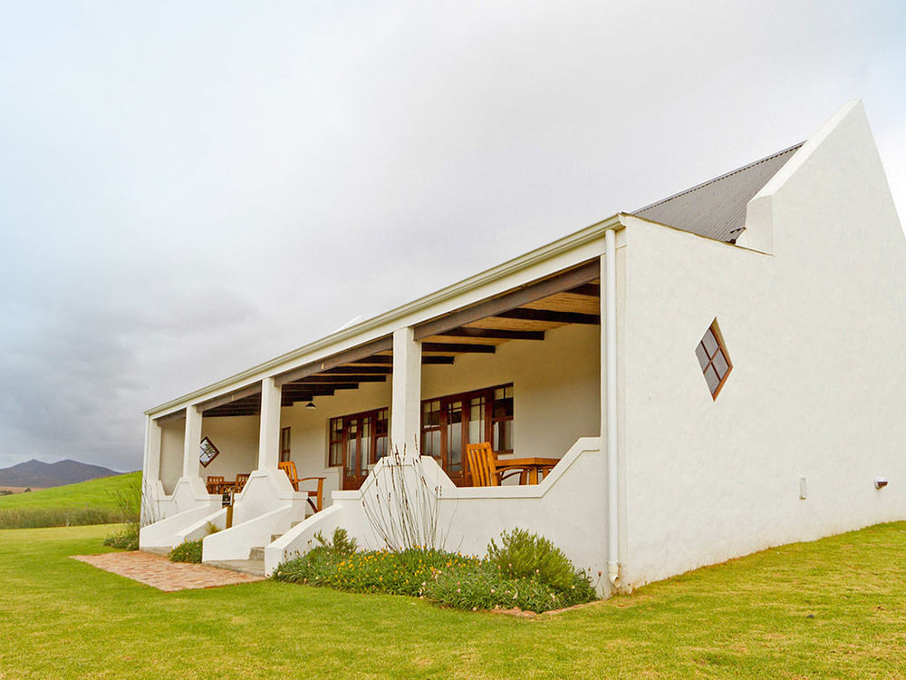 Affittacamere Endless Vineyards At Wildekrans Wine Estate Botrivier Esterno foto