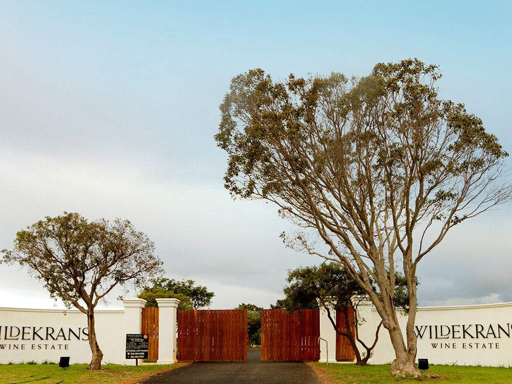 Affittacamere Endless Vineyards At Wildekrans Wine Estate Botrivier Esterno foto
