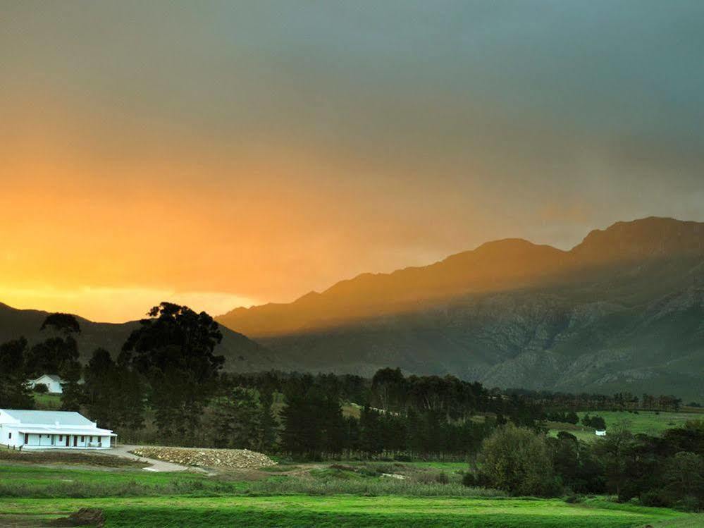 Affittacamere Endless Vineyards At Wildekrans Wine Estate Botrivier Esterno foto
