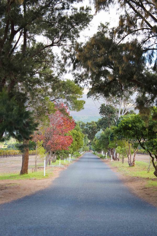 Affittacamere Endless Vineyards At Wildekrans Wine Estate Botrivier Esterno foto