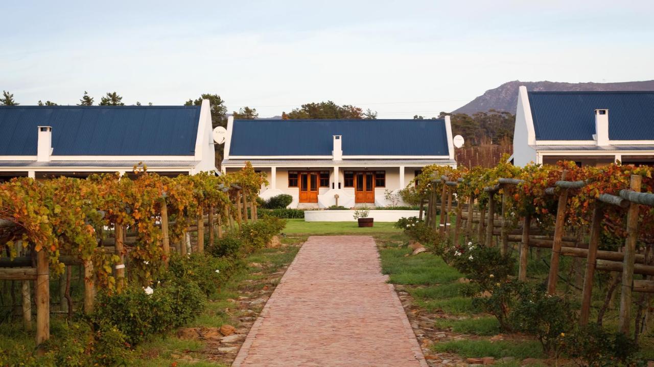 Affittacamere Endless Vineyards At Wildekrans Wine Estate Botrivier Esterno foto